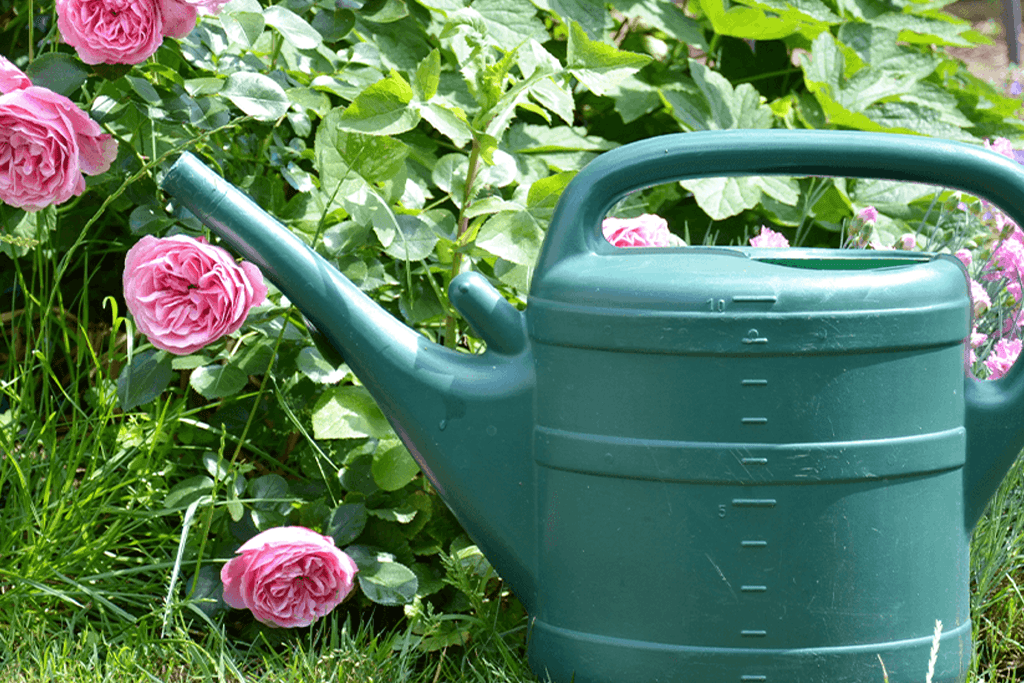 Alsip Nursery Watering Can