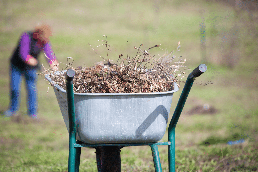 Work Smarter Not Harder: 10 Tips for Spring Cleaning, Pruning, and More