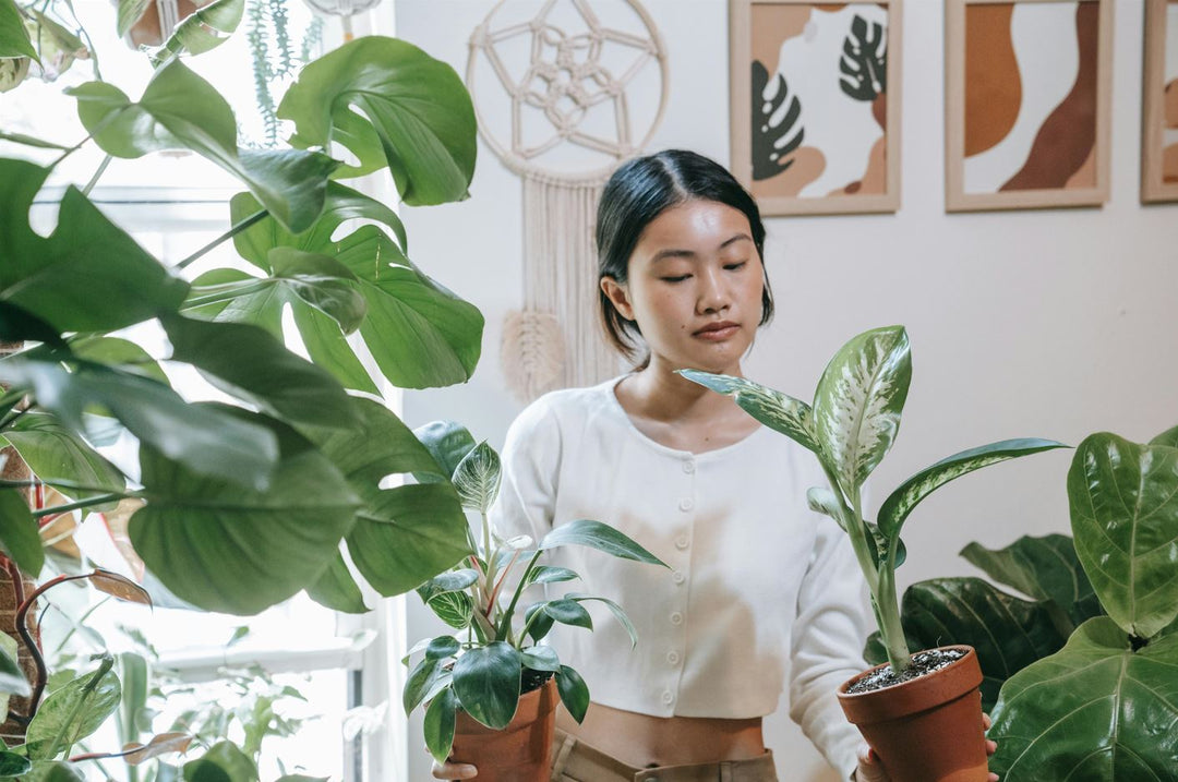 Woman admiring her houseplants.