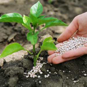 Fertilizers And Controls