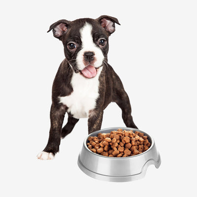 Dog Food