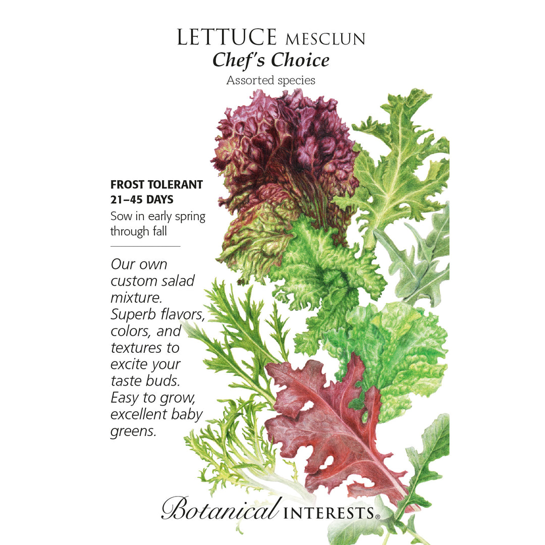 Lettuce, Chef's Choice Mesclun Botanical Interests Seeds
