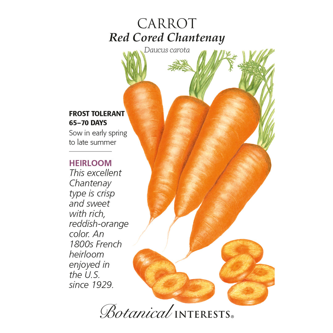 Carrot, Red Cored Chantenay Botanical Interests Seeds
