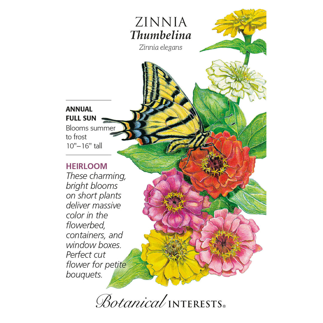 Zinnia, Thumbelina Botanical Interests Seeds