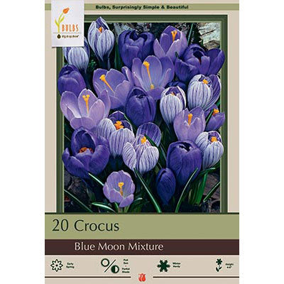Netherland Bulb Co. Crocus, Blue Moon Mixture Bulbs