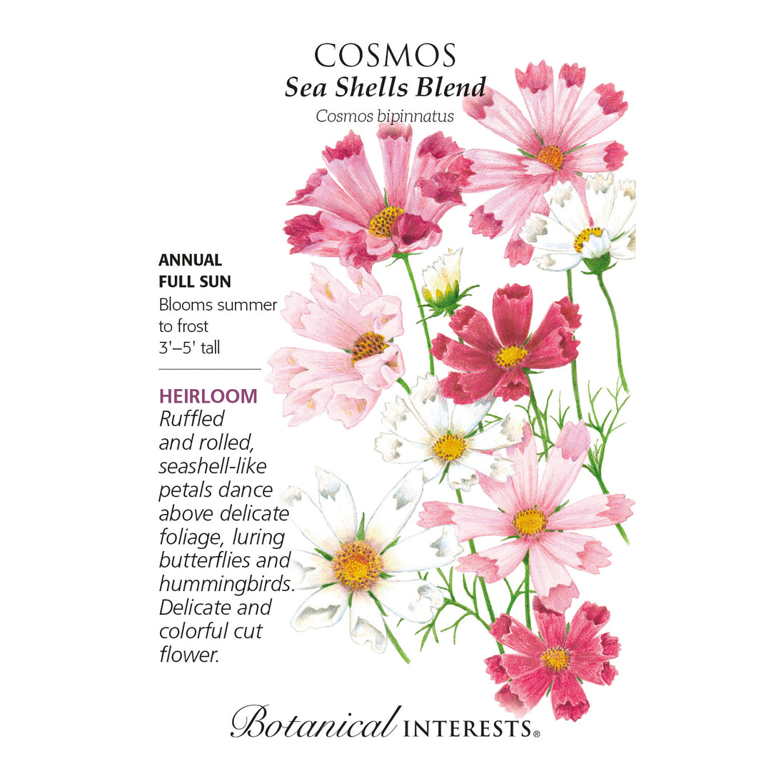 Cosmos, Sea Shells Blend Heirloom Botanical Interests Seeds