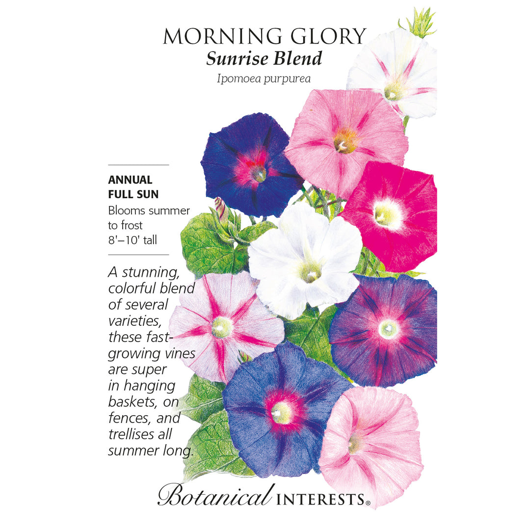 Morning Glory, Sunrise Blend Botanical Interests Seeds