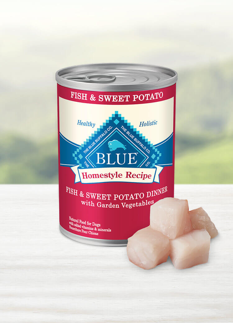 Blue Buffalo, Homestyle Recipe, Fish & Sweet Potato with Garden Vegetables, Canned Dog Food, 12.5 oz