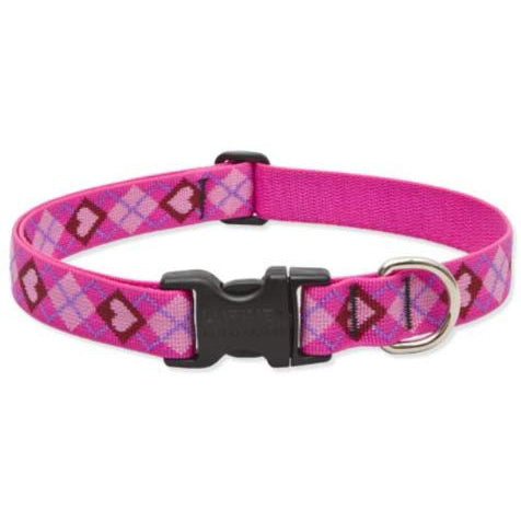 Lupine Dog Collar, 1" Wide, 16"-28" Adjustable Neck, Puppy Love