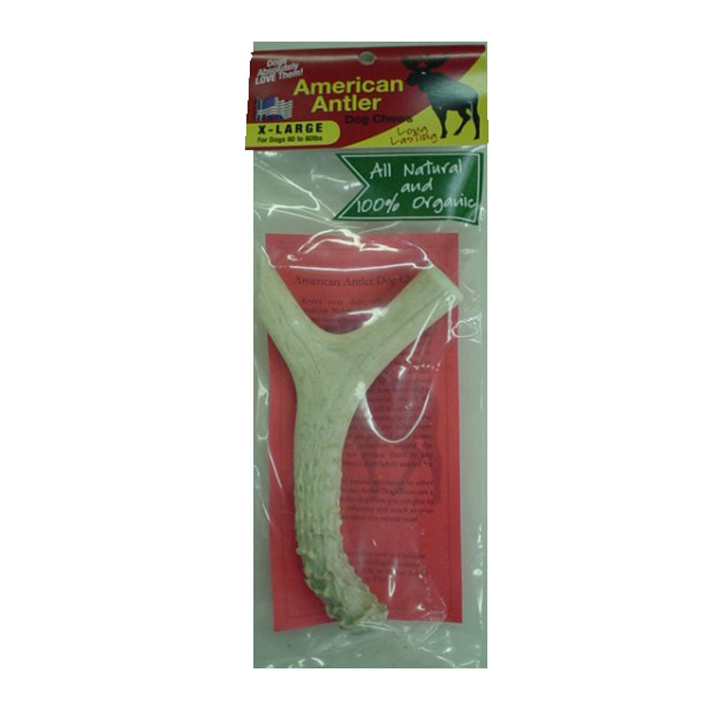 American Antler, X-Large