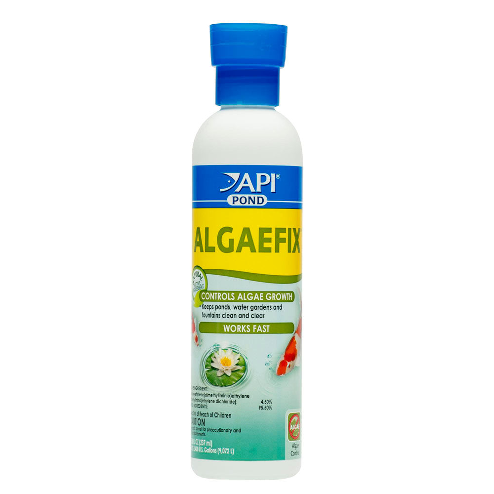 API Pond, Algae Fix, 16 oz