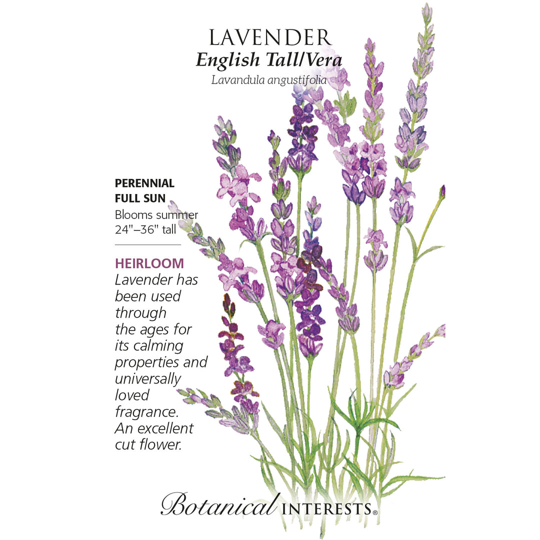 Lavender, English Tall/Vera Heirloom Botanical Interests Seeds