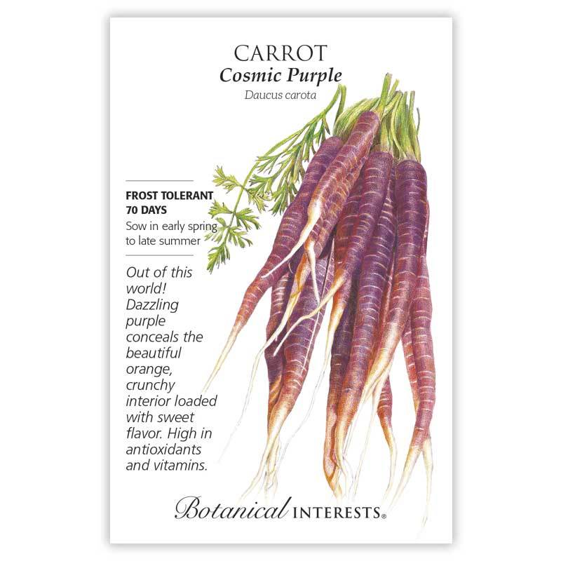 Carrot, Cosmic Purple Botanical Interests Seeds