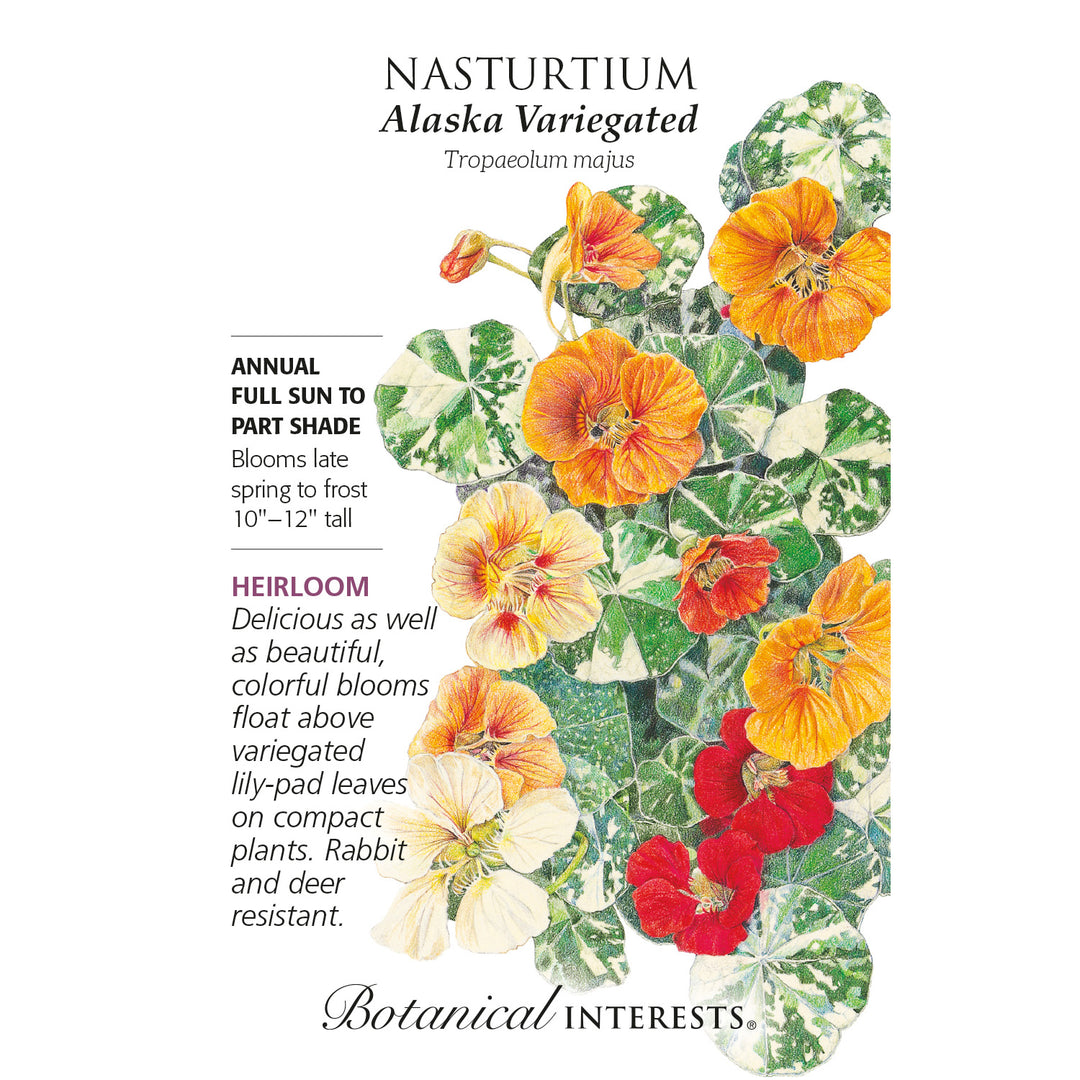 Nasturtium, Alaska Variegated Botanical Interests Seeds