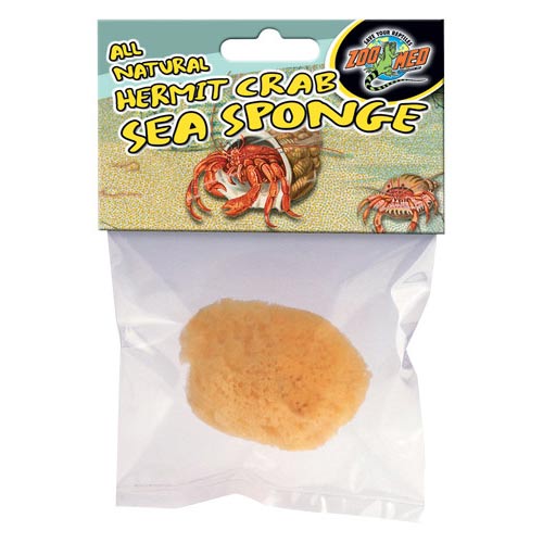 Flaker, Hermit Crab Sea Sponge