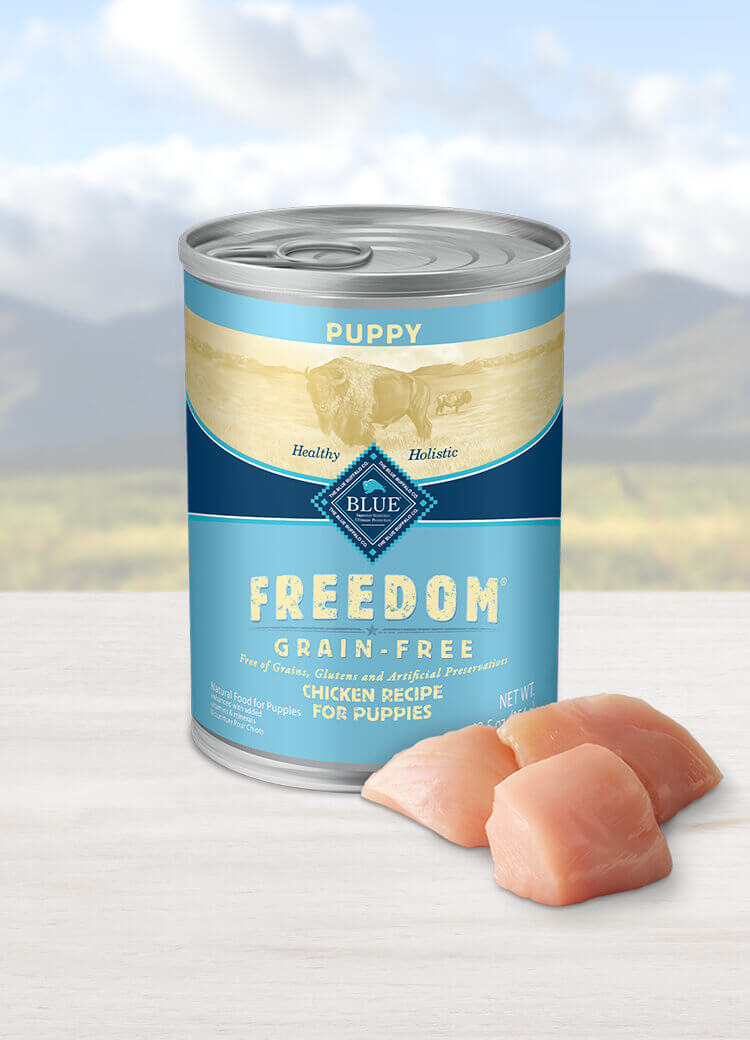 Blue Buffalo, Freedom Grain-Free Chicken Recipe, Canned Puppy Food, 12.5 oz