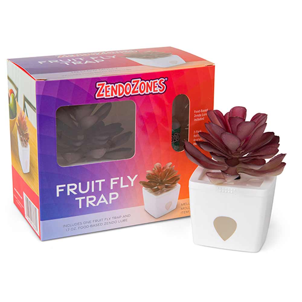 ZendoZones, Mellow Molly White Fruit Fly Trap