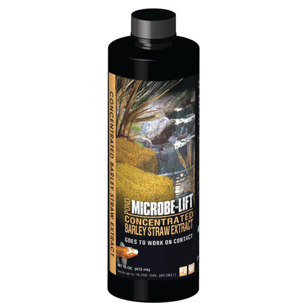 Microbe Lift, Barley Straw Extract Concentrated, 16 oz