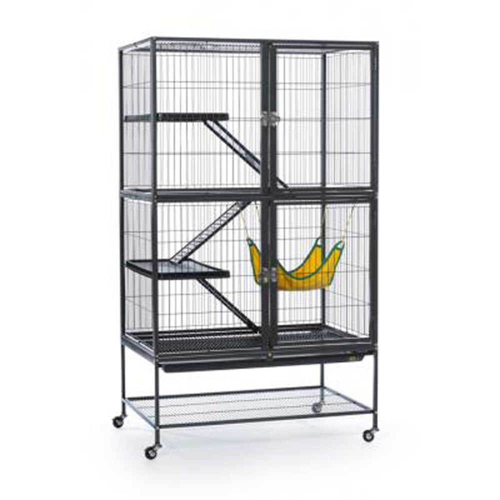 Prevue Pet, Feisty Ferret Home