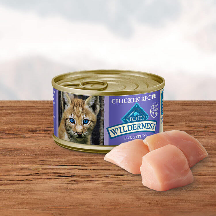 Blue Buffalo Wilderness Chicken Recipe, Canned Cat Food, 3 oz