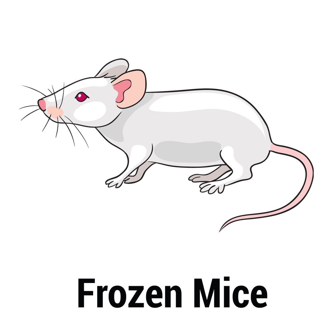 Frozen Feeder Mouse