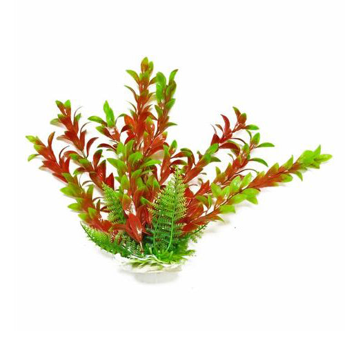 Hygro-Like Red & Green Aquarium Plant, 6"