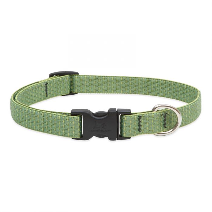 Lupine Eco Dog Collar, 3/4" Wide, 9"-14" Adjustable Neck, Moss