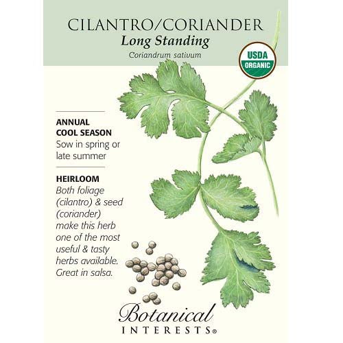 Cilantro Botanical Interests Seeds