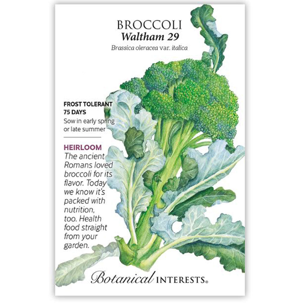 Botanical Interests, Broccoli Waltham
