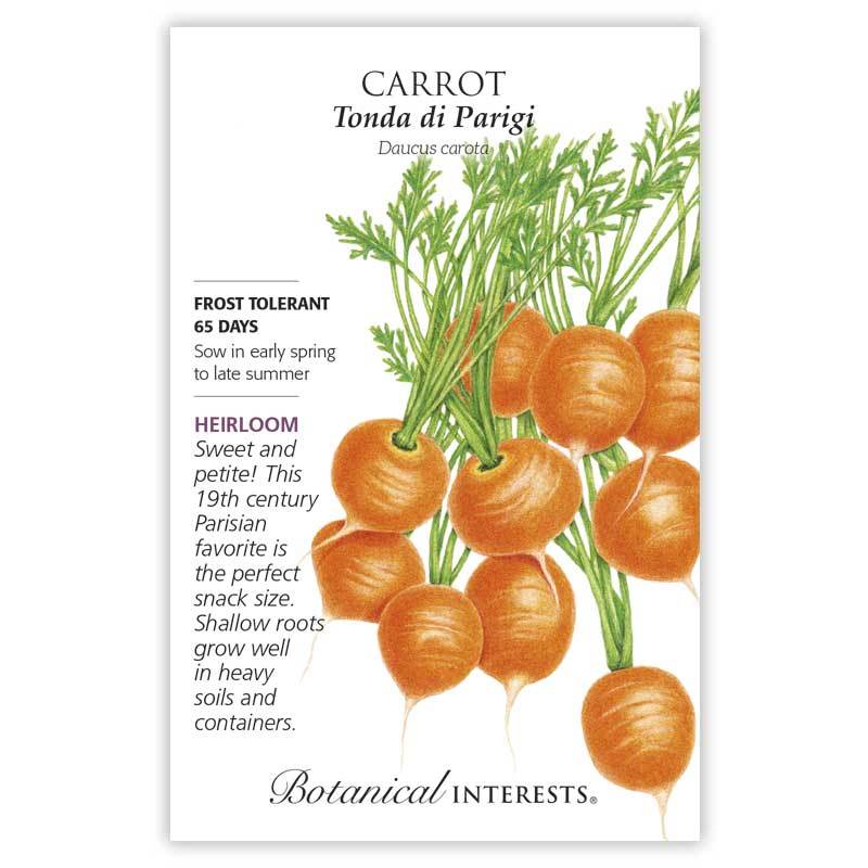 Carrot, Tonda di Parigi, Botanical Interests Seeds (Heirloom)