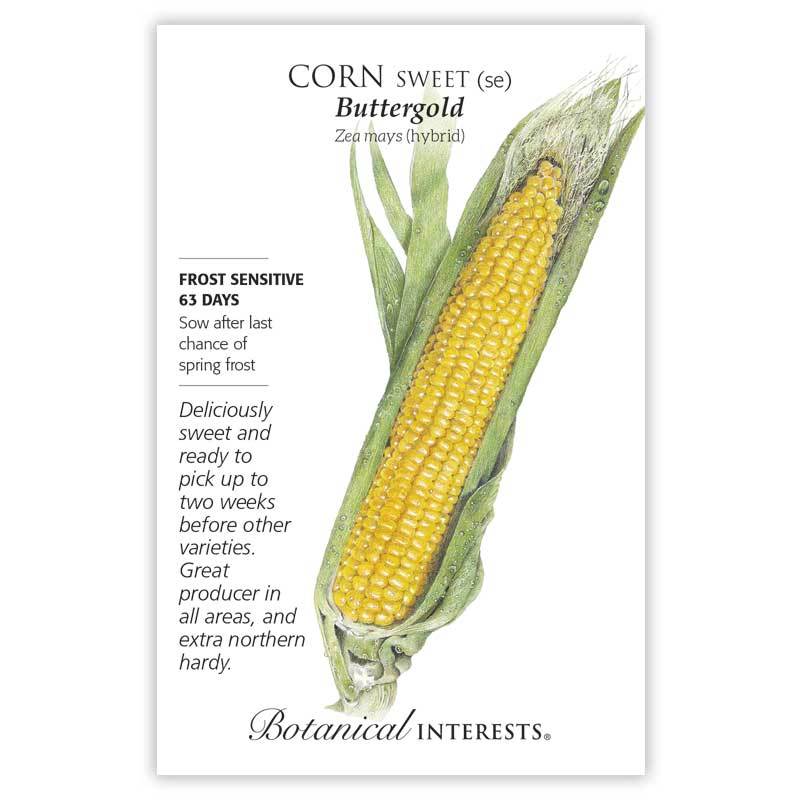 Corn, Buttergold Sweet Botanical Interests Seeds