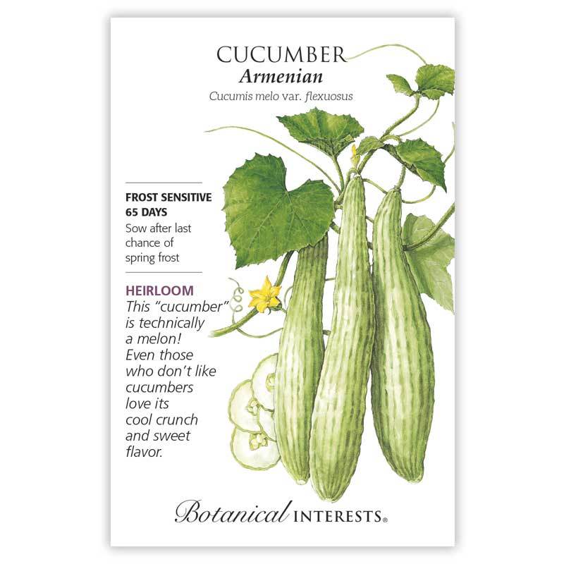 Cucumber, Botanical Interests Armenian Seeds (Heirloom)
