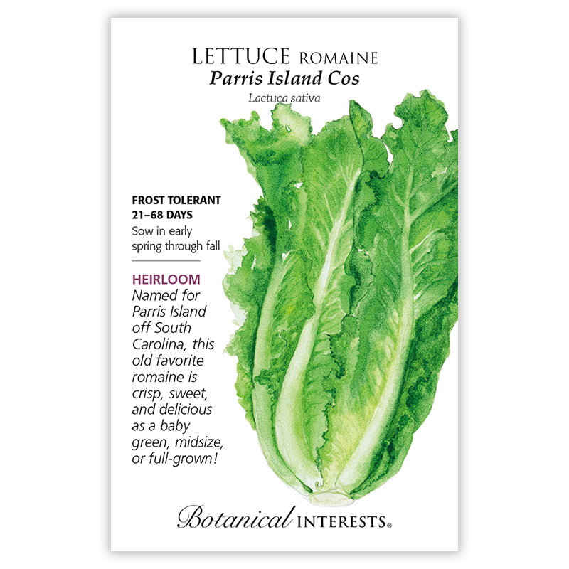 Lettuce, Parris Island Cos Romaine Botanical Interests Seeds (Heirloom)