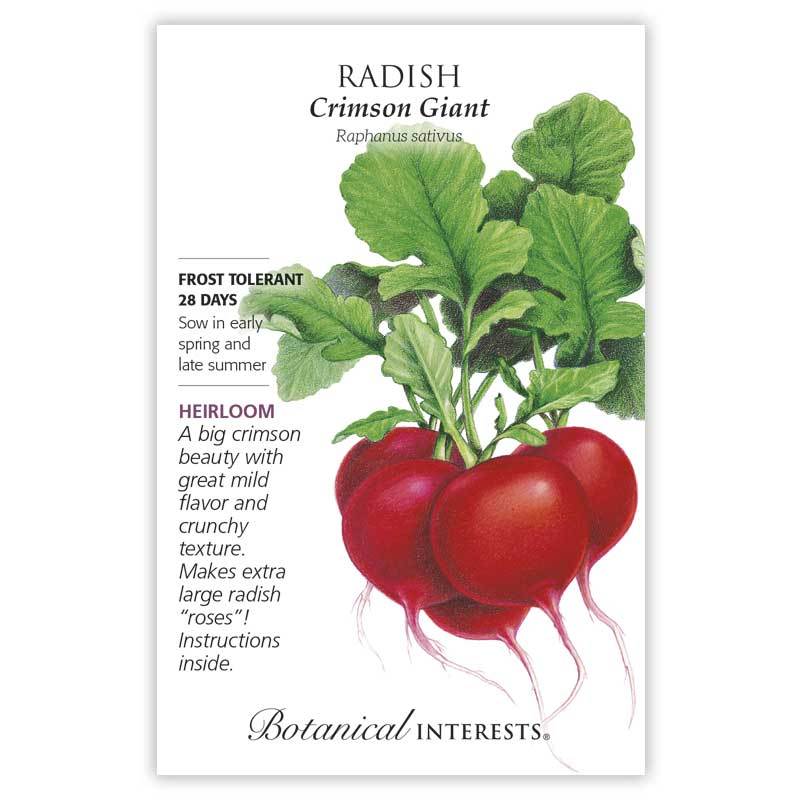 Radish, Crimson Giant Botanical Interests Seeds