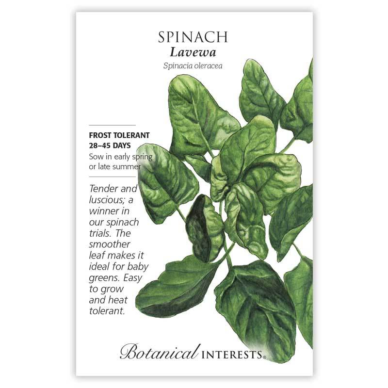 Spinach, Botanical Interests Lavewa Seeds