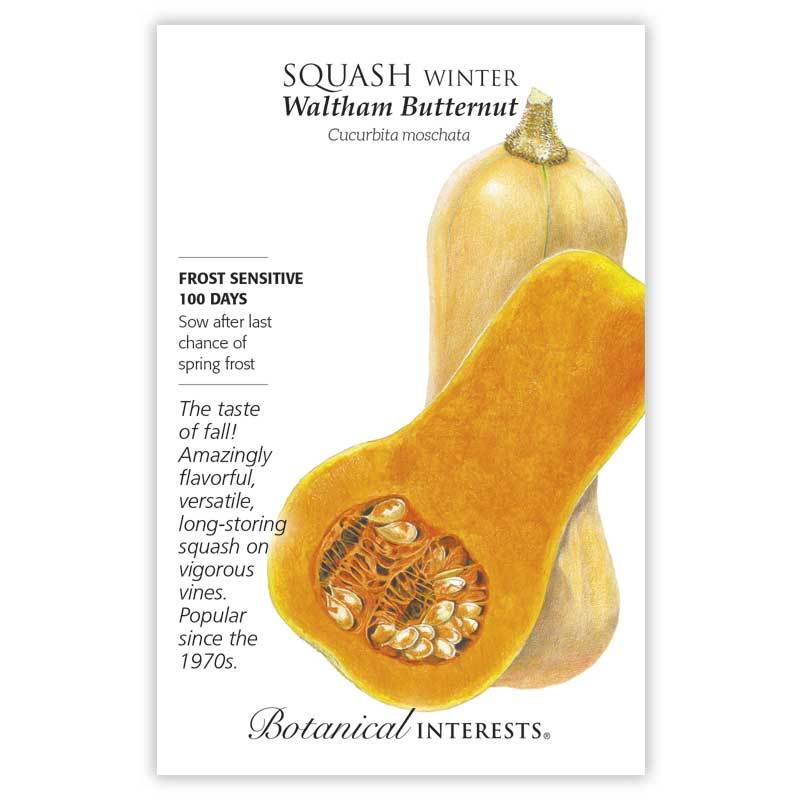 Squash, Botanical Interests Waltham Butternut Winter Seeds