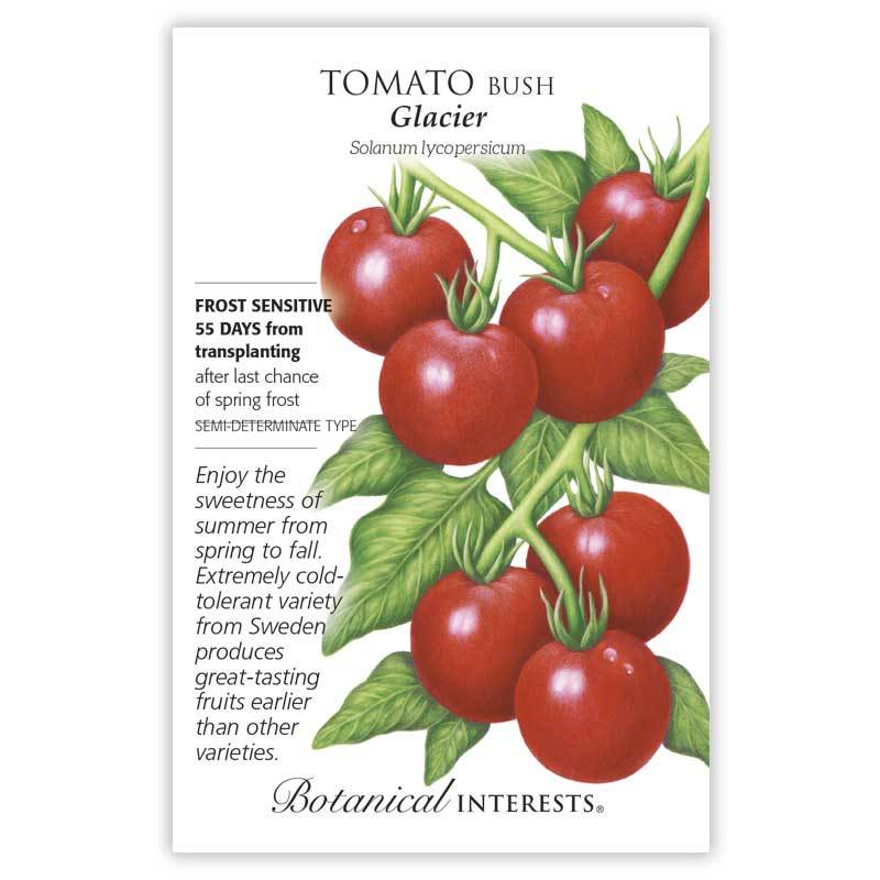 Tomato, Glacier Bush Botanical Interests Seeds
