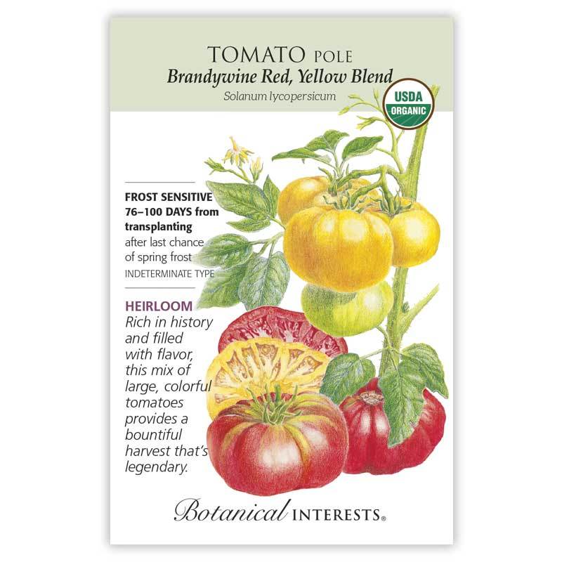 Tomato, Brandywine Red & Yellow Blend Pole Botanical Interests Seeds (Organic, Heirloom)