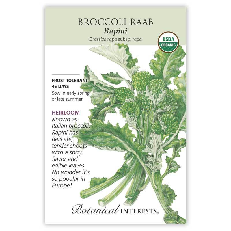 Rapini, Broccoli Raab Botanical Interests Seeds (Organic)