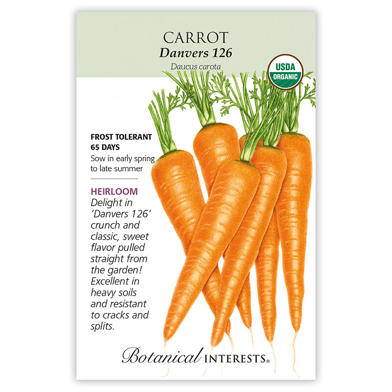 Carrot, Danvers 126 (Organic Heirloom) Botanical Interests Seeds