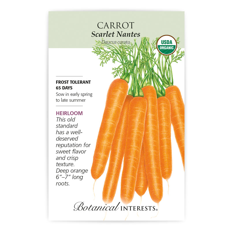 Carrot, Scarlet Nantes Botanical Interests Seeds (Organic, Heirloom)