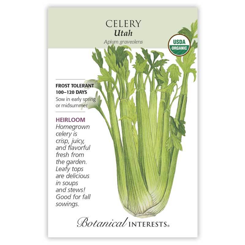 Celery, Utah (Organic Heirloom) Botanical Interests Seeds