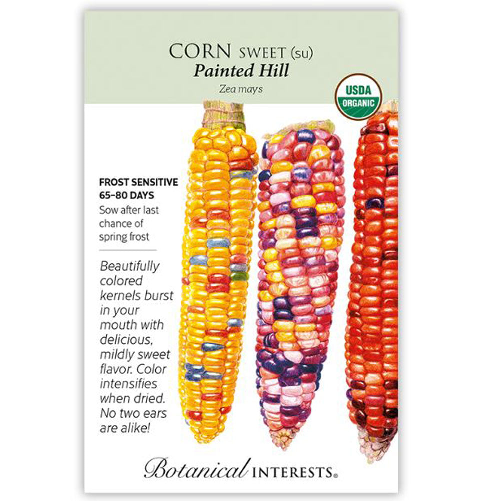 Botanical Interests, Corn, Sweet Painted Hill Organic