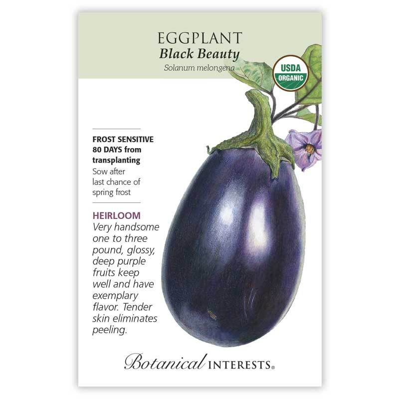 Eggplant, Botanical Interests Black Beauty Seeds Organic, (Heirloom)