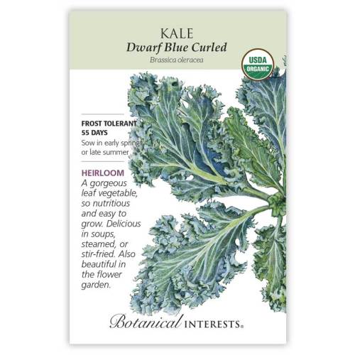 Kale, Dwarf Blue Curled Seeds (Organic, Heirloom)