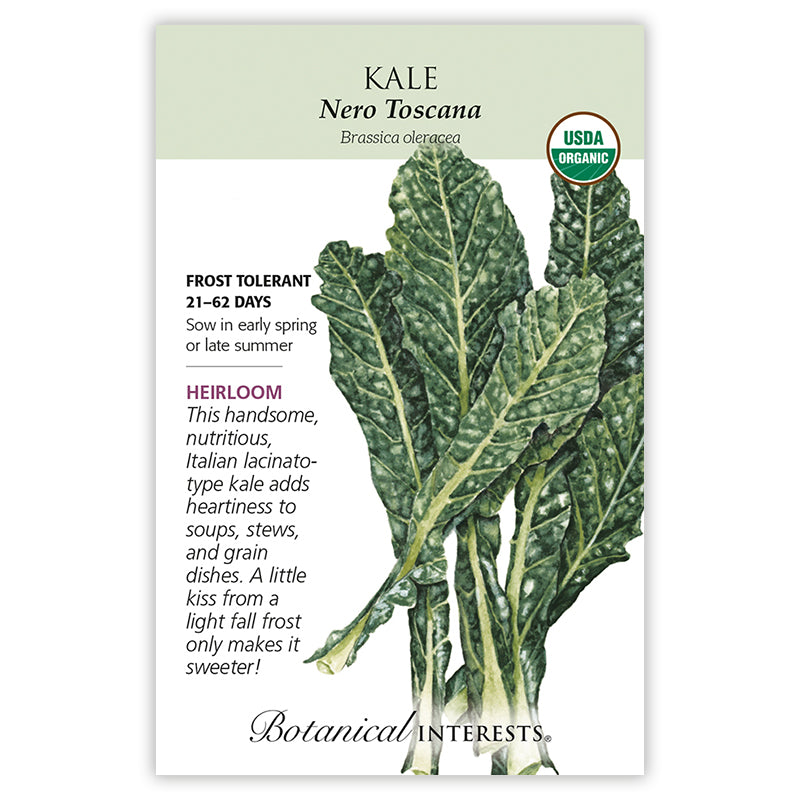 Kale, Botanical Interests Nero Toscana Seeds Organic, (Heirloom)