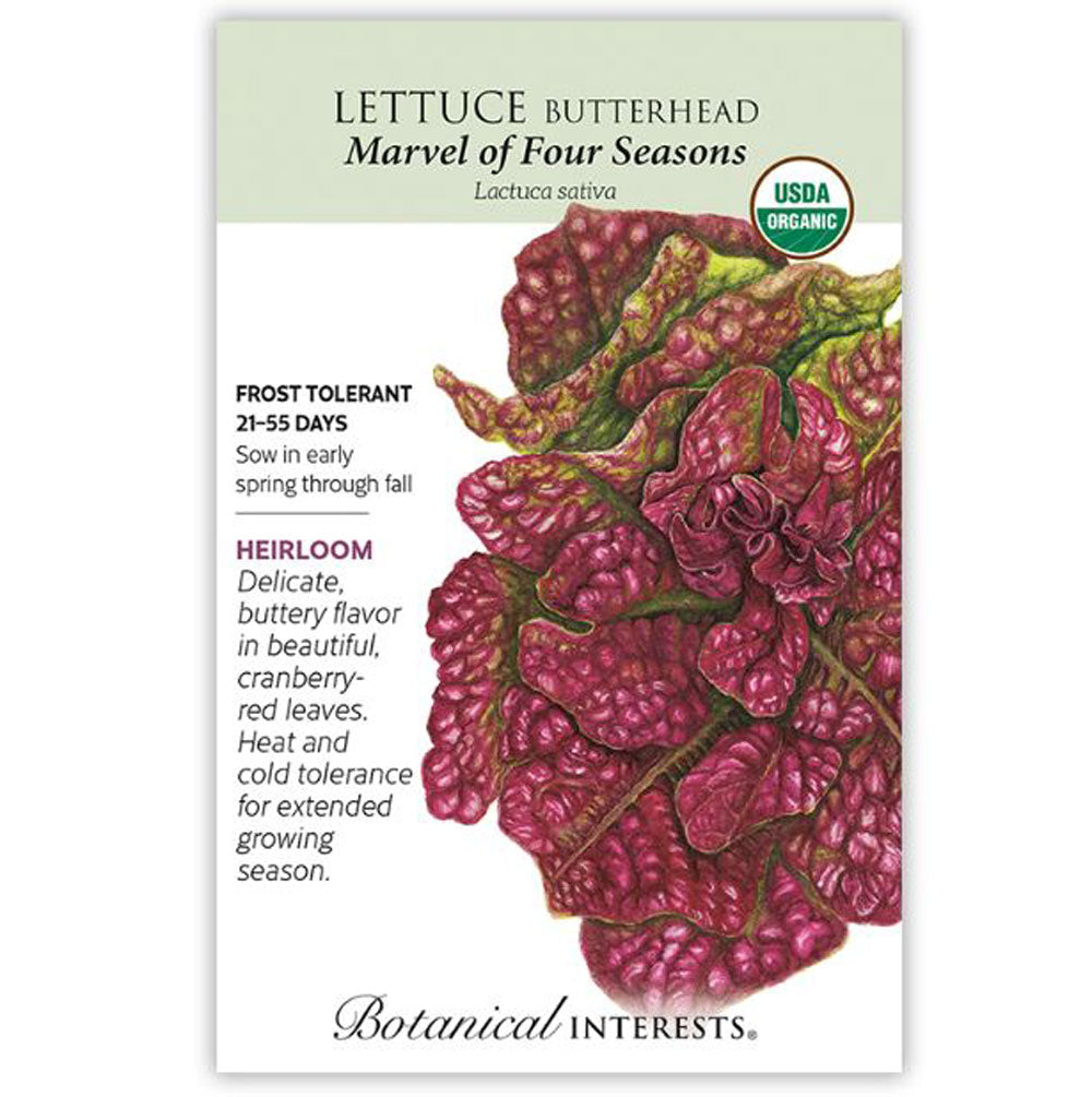 Botanical Interests, Lettuce, Butterhead Marvel Organic