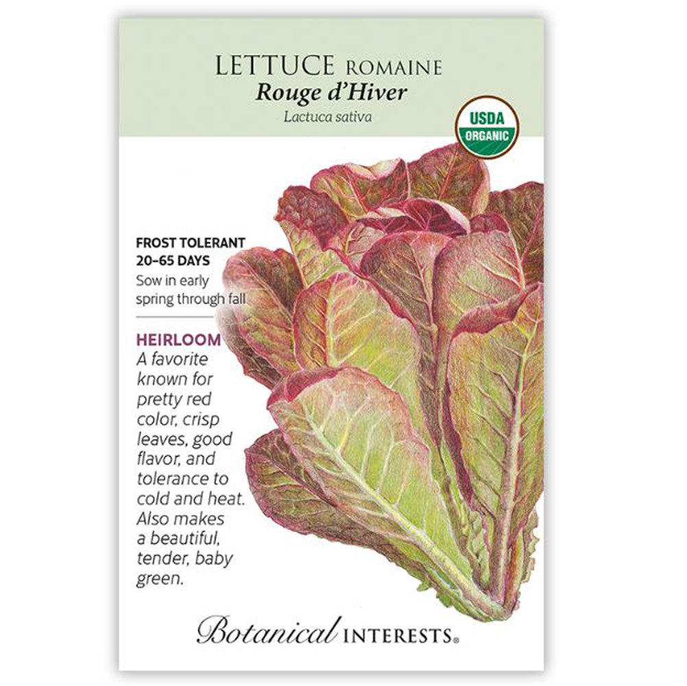 Botanical Interests, Lettuce, Romaine Rouge D'hivr Organic