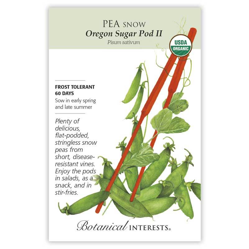 Snow Pea, Oregon Sugar Pod II (Organic) Botanical Interests Seeds