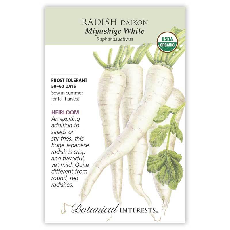 Radish, Botanical Interests Miyashige White Daikon Seeds Organic, (Heirloom)